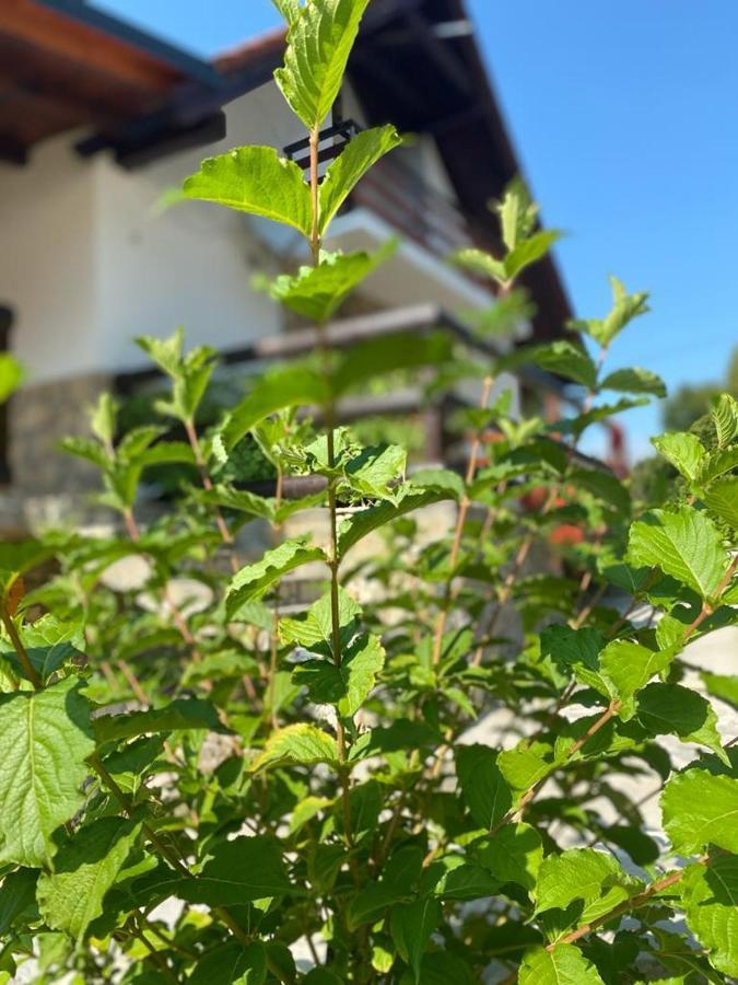 Plitvice Fairytale Bed & Breakfast Plitvička Jezera Dış mekan fotoğraf